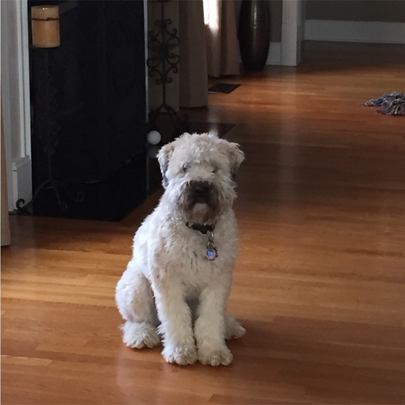 Meet your Posher, Stephanie - Picture 1 of 1